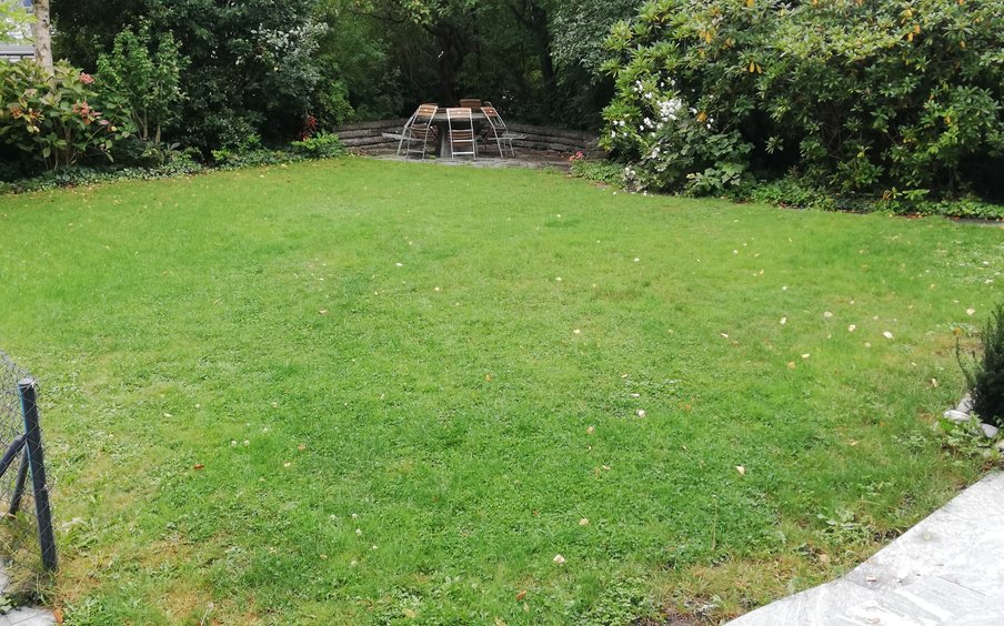 Garten vor Beginn der Arbeiten Garten vor Beginn der Arbeiten