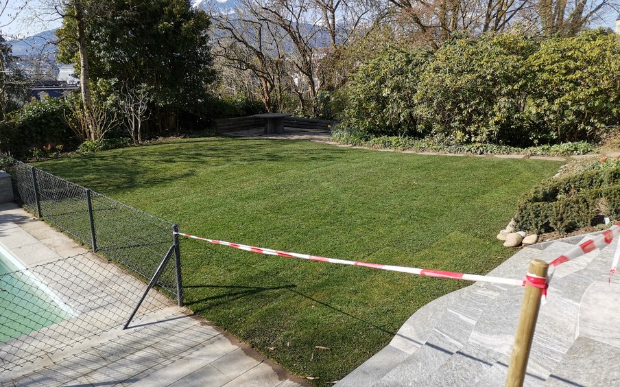 Garten nach Wiederherstellung Garten nach Wiederherstellung